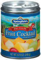 Springfield Premium In Heavy Syrup Fruit Cocktail 8.75 Oz Can