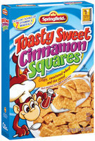 Springfield Toasty Sweet Cinnamon Squares Cereal 14 Oz Box
