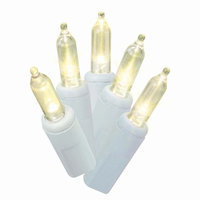Holiday Time Clear LED Mini Lights, 50 Count