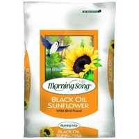 Morning Song 1015170 Black Oil Sunflower, 50-Pound