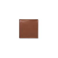 Mary Kay Day Radiance Cream ~ Walnut Bronze