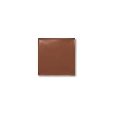 Mary Kay Day Radiance Cream ~ Walnut Bronze
