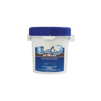 Water Techniques Inc F084006048PC 6 Lb PH Minus Balancer Pack Of 8