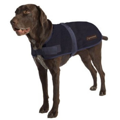 ABO Gear Wagga Wool Dog Sweater