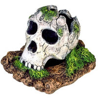 Blue Ribbon Exotic Environments Broken Skull Aquarium Ornament, Small, 5-Inch by 3-1/2-Inch by 4-Inch