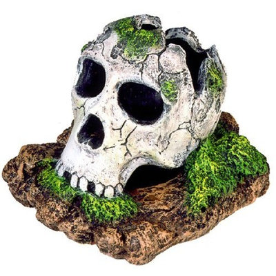 Blue Ribbon Exotic Environments Broken Skull Aquarium Ornament, Small, 5-Inch by 3-1/2-Inch by 4-Inch