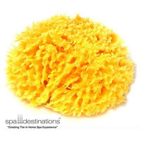 Natural Sea Wool Sponge 5-6