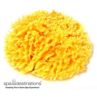 Natural Sea Wool Sponge 5-6