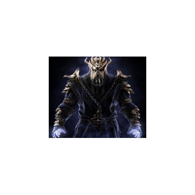 Bethesda Softworks The Elder Scrolls V: Skyrim: Dragonborn