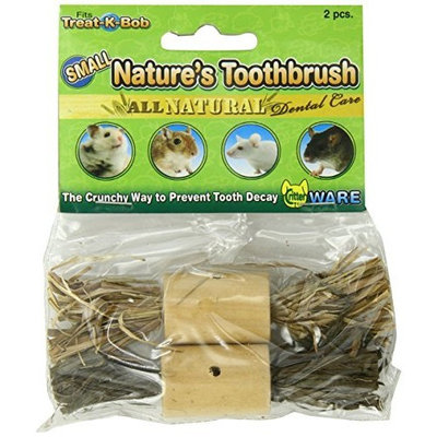 Ware Pine Wood Natures Toothbrush Small Pet Chew Treat, Small