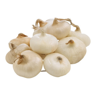 Onions Cipollini