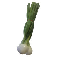 Fresh Green Onions