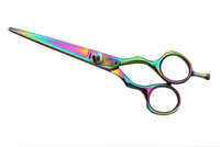 Body Toolz 6-inch Titanium Multi-Color Shear/Scissor