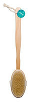 Diane Boar Bristle Bath Brush (Pack of 12)