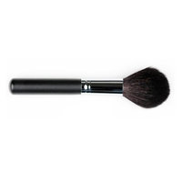 Crown Brush Studio Pro Series Pointed Powder Brush