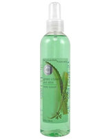 Bath & Body Works® Pleasures Collection Green Clover and Aloe Body Splash