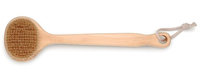 Baudelaire Cedar 13