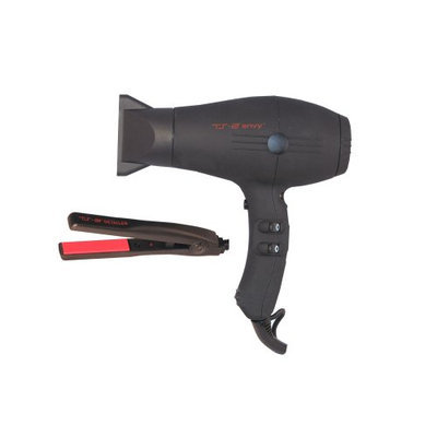 TS-2 TS602 Envy Compact Tourmaline Ceramic Ionic 1875 Watt Dryer with Free 6