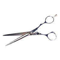 Kamisori Dm-3 Smoke Professional Hair Shears