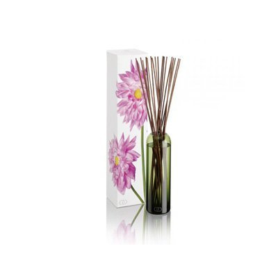 Dayna Decker Botanika Diffuser