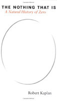 Nothing That Is: A Natural History of Zero