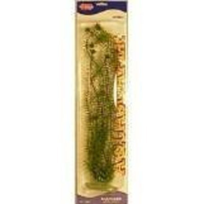 Hagen Marina Aquascaper Anacharis Jumbo Plant, 20-Inch