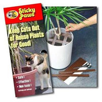Sticky Paws for Houseplants, (1
