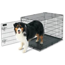 Petmate Home-Training Wire Dog Kennel - Large