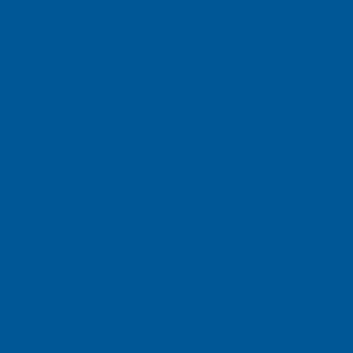Staples Standard 1-Inch Slant D 3-Ring View Binder, Blue (24621)
