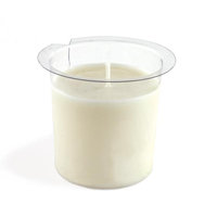 Esteban Sous Les Feuilles Scented Decorative Candle Refill