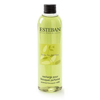 Esteban Souse Les Feuilles Scented Bouquet Diffuser Refill