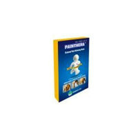 Painthera 347605 External Pain Relieving Patch- Case of 48