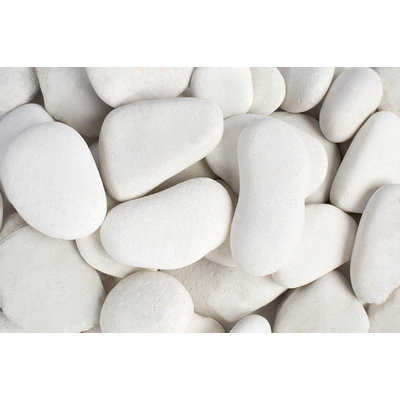 Rain Forest Landscaping Supplies. 0.4 cu. ft. Large Flat Egg Rock Caribbean Beach Pebble