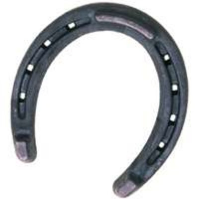 Diamond HORSESHOE TOED/HEELED BRONCO