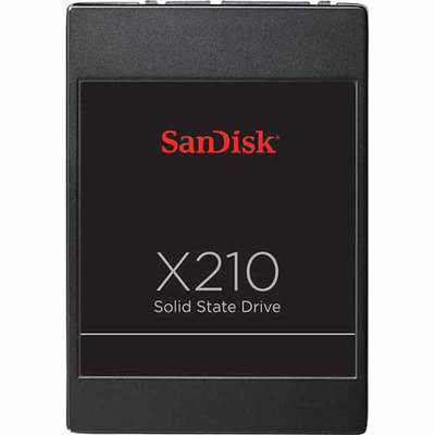 SanDisk RY3772B SanDisk X210/128G 2.5-Inch Internal Solid State Drive SD6SB2M-128G-1022I