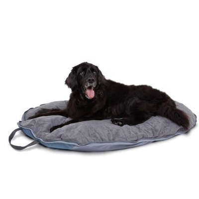 Classic Accessories Dog About Folding Pet Travel Bed