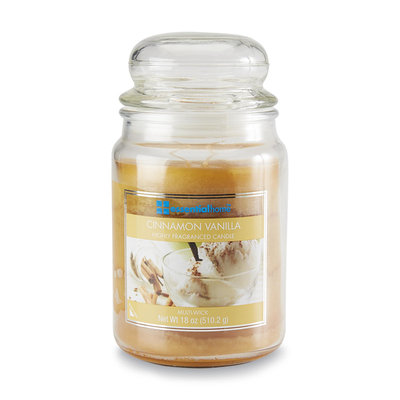 Essential Home 18 Ounce Jar Candle Cinnamon Vanilla - LANGLEY PRODUCTS L.L.C.