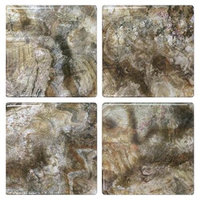 Artscape Jazz 4 in. x 4 in. Brown Multi-Colored High Gloss Meadow Lark Self Adhesive Decorative Wall Tile 05-0103
