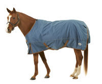 Pessoa 1680D Turnout Sheet 84