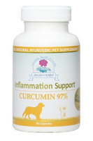 Curcumin 97% Vet Ayush Herbs 90 Tabs