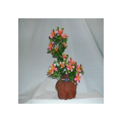 Rocky Mountain Plants ARCMB2 Aerating Double Color Plant on Lava Rock, 9 to 10-Inch