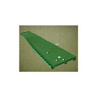 Extreme Green Master 3 Golf 3' X 16' Practice 2 Cup Chipping Putting Trainer