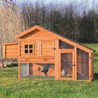 Trixie Pet Products Trixie Chicken Coop with View Finish: Glazed Pine