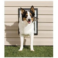 Pet Safe PetSafe Wall Entry Aluminum Pet Door MEDIUM