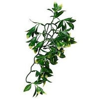 RC Hagen PT3002 Exo Terra Plastic Terrarium Plant Small Mandarin