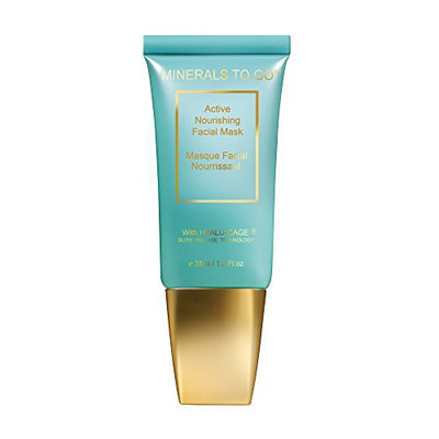 Minerals To Go Premier Dead Sea Active Nourishing Facial Mask