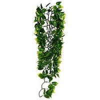 RC Hagen PT3021 Exo Terra Plastic Terrarium Plant, Large, Amapallo