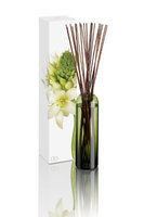 Dayna Decker Botanika Essence Diffuser