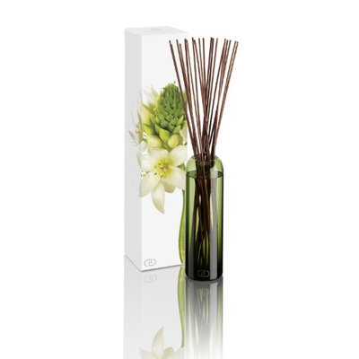 Dayna Decker Botanika Essence Diffuser