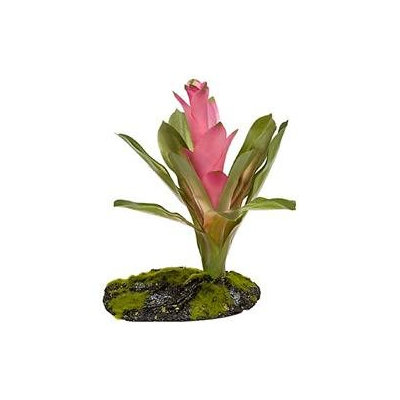 Zoo Med Labs 85018044 Zoo Med Cryptonihus Bomeliad 8in